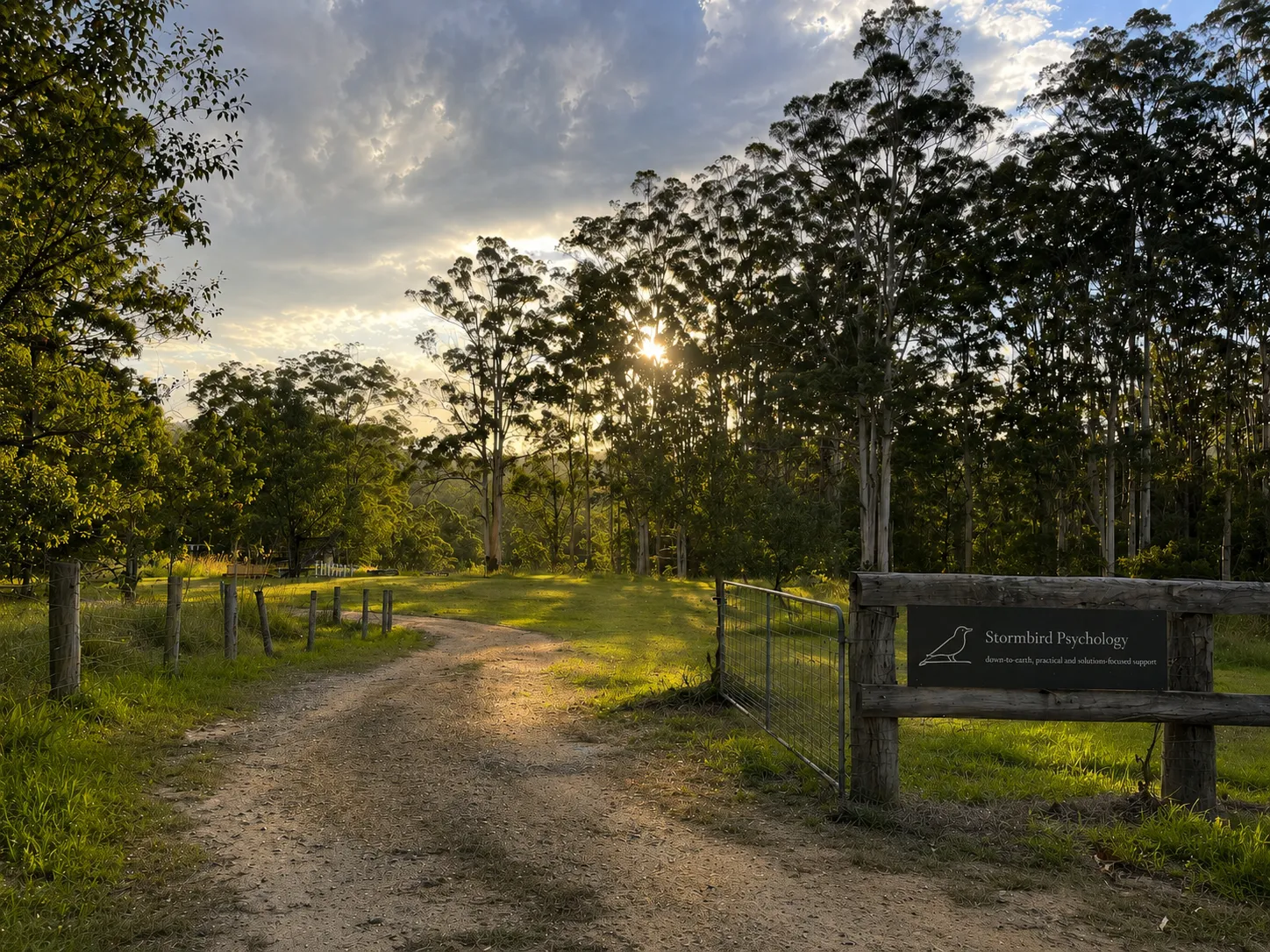 The driveway and Stormbird Psychology sign at sunset