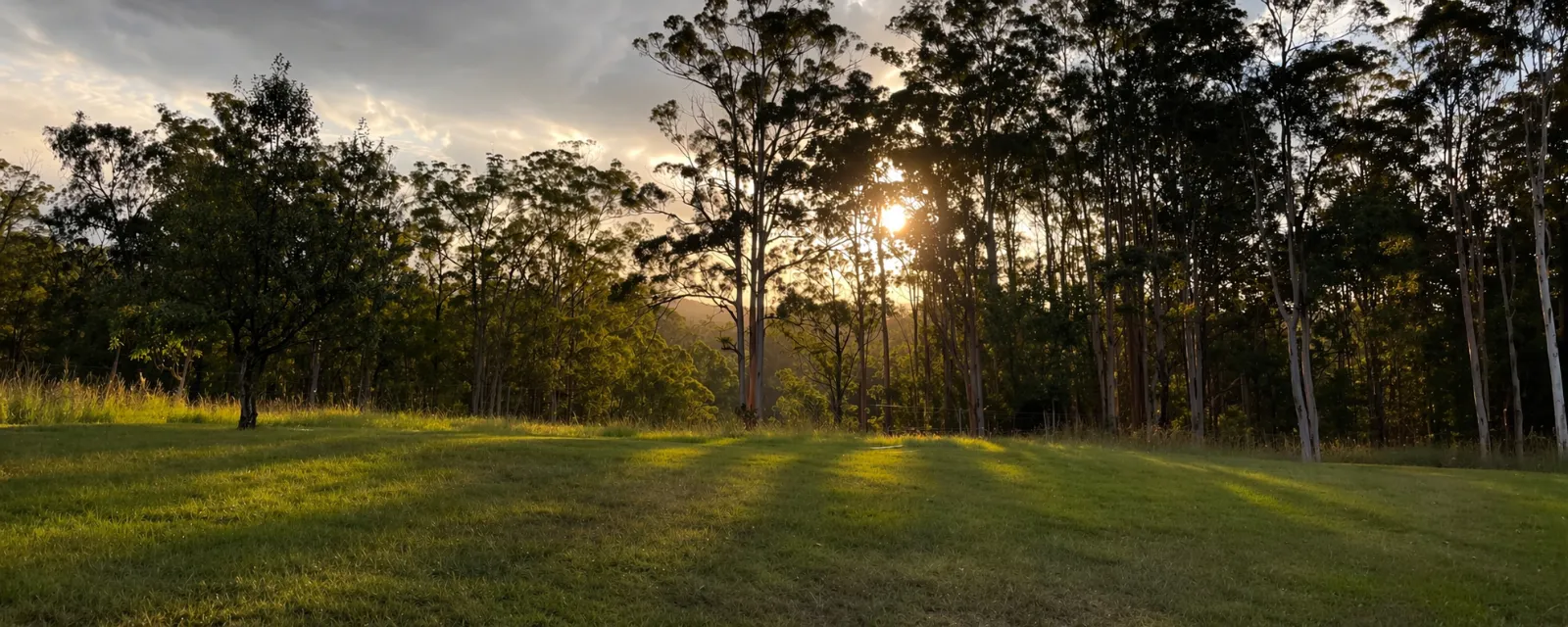 Late afternoon light over a rural paddock
